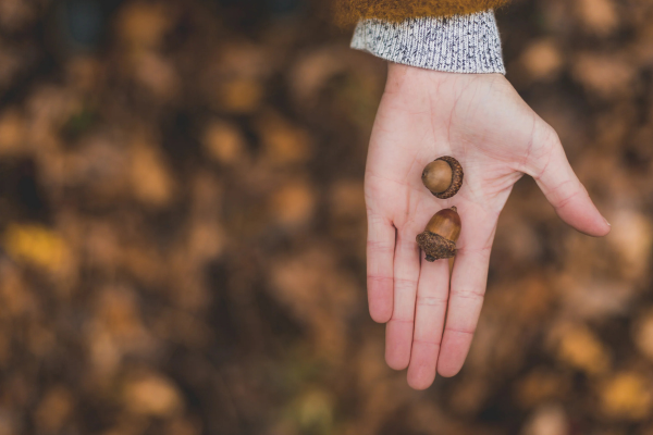 Are you feeling Autumnal yet?
