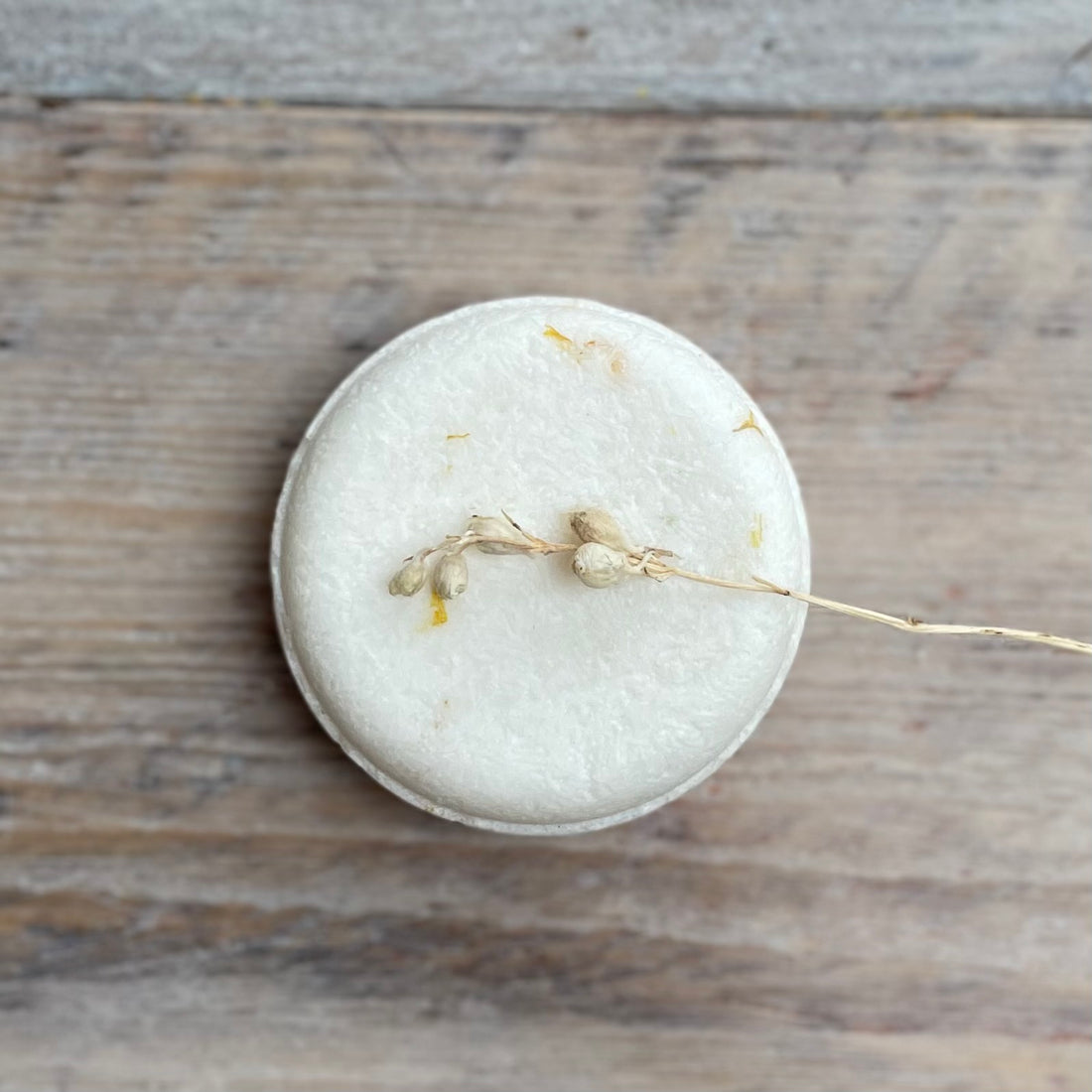 Round white shampoo bar with a small sprig on a wooden surface