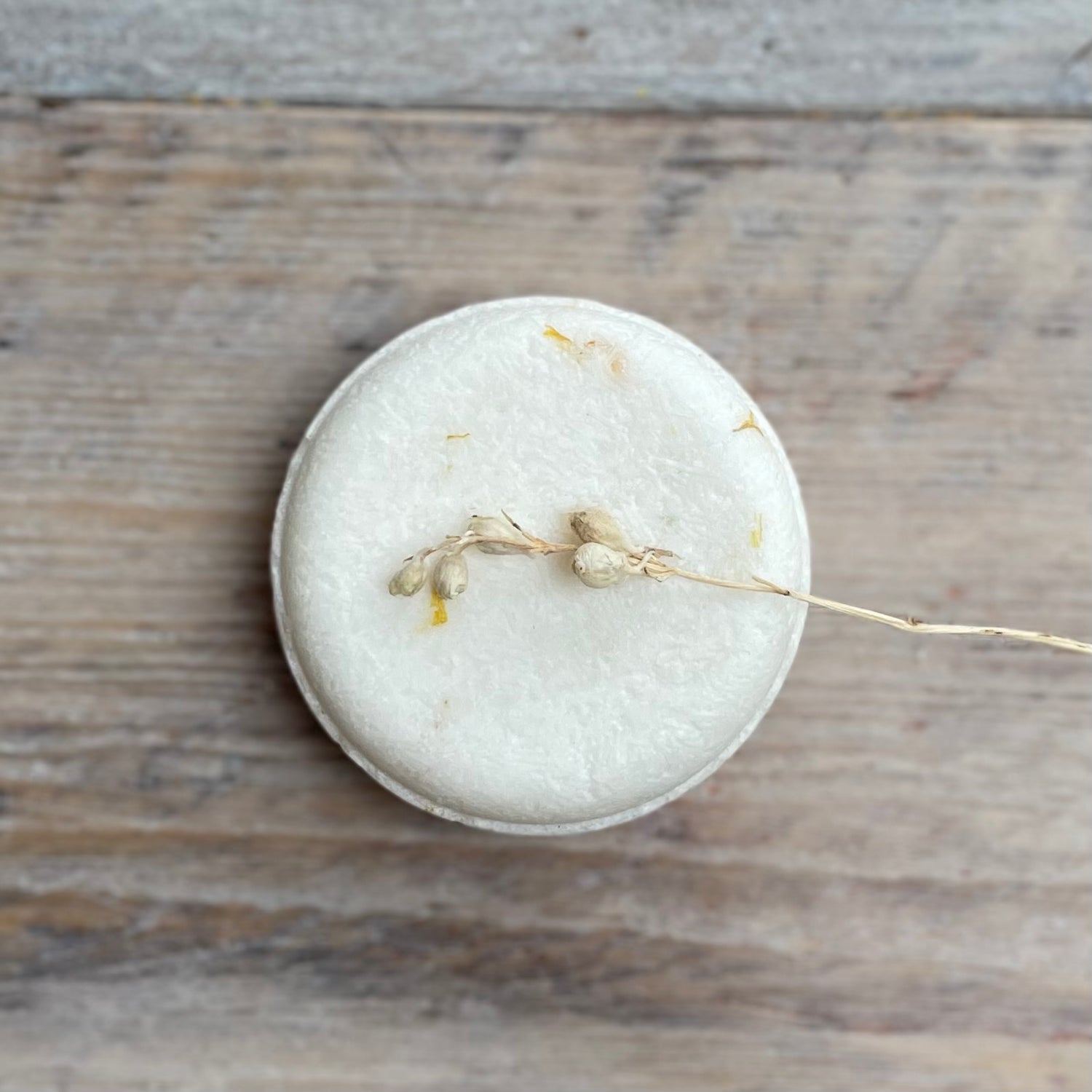 Round white shampoo bar with a small sprig on a wooden surface
