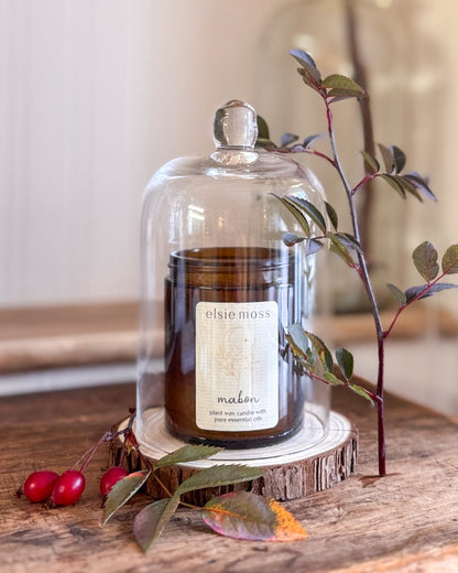 An amber glass jar candle under a clear glass cloche dome, displayed on a rustic wood slice coaster with red berries and greenery on a wooden table.