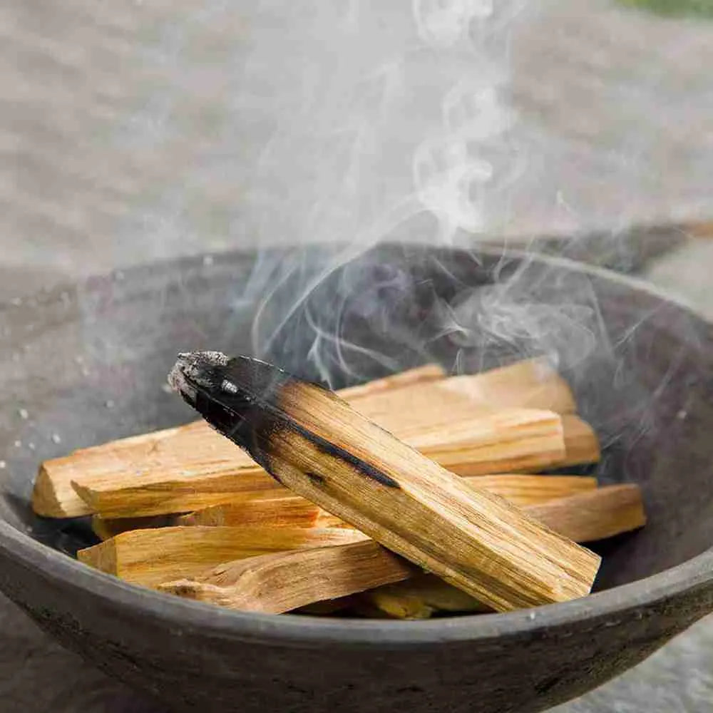 Palo santo sticks burning in a dark bowl with smoke rising.