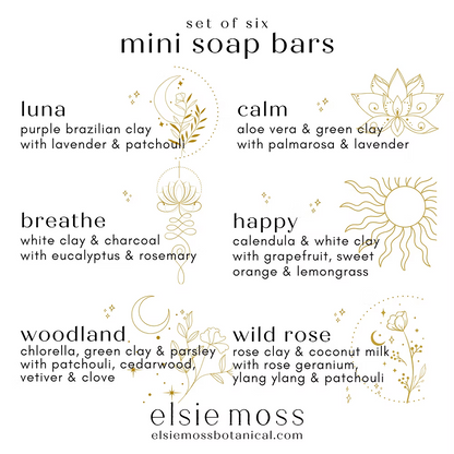 Set of Six Mini Soap Bars